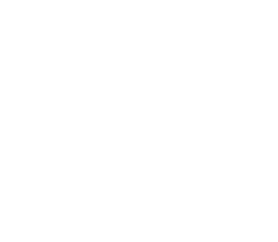 Boreas Global Lojistik