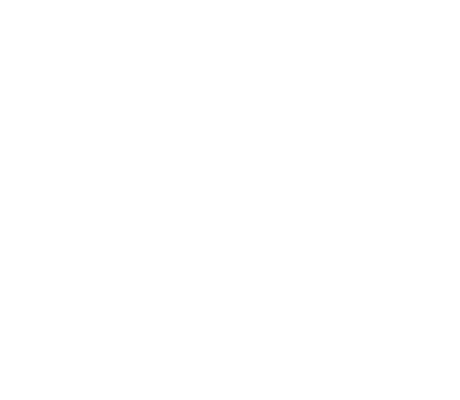 Sky Shipping Line